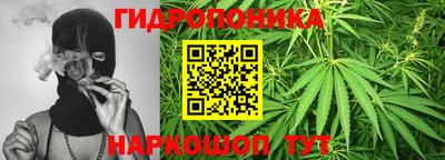 сатива Будённовск