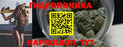 сатива Будённовск